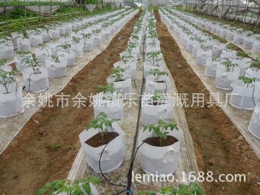 Flechas de caída personalizables para la irrigación de granjas de macetas Agricultura Irrigación personalización