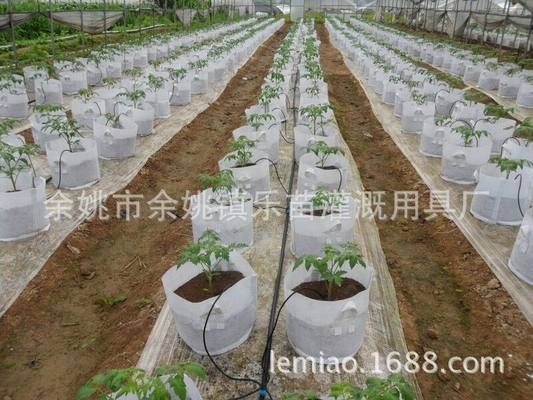 Ingeniería de accesorios de goteo de plástico para riego de plantas domésticas portátiles personalizables