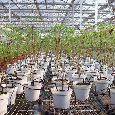 Accesorios de riego de plantas domésticas portátiles personalizables con diseño de flecha de caída duradero