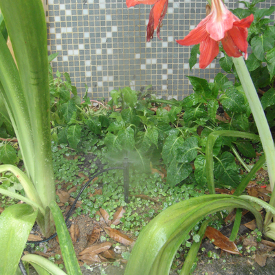 Conexión rápida Centrífuga Enlace insertado Sprinkler Agricultura Riego Rociador de agua