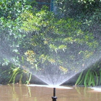 Riego eficiente de su jardín con nuestra ingeniería de media pulgada de rociador de plástico