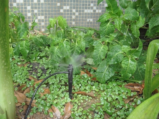 Aspergador de enlace inserto de rayos/centrífugas para el riego agrícola constante en el jardín