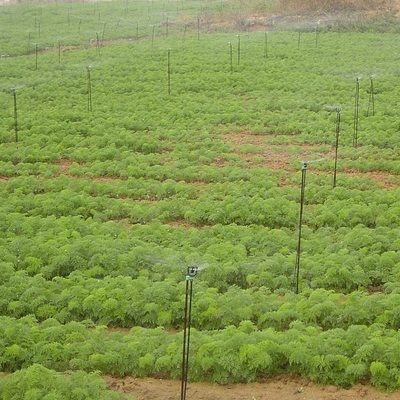 Ingeniería de plástico en posición vertical microarrogante giratorio para riego agrícola