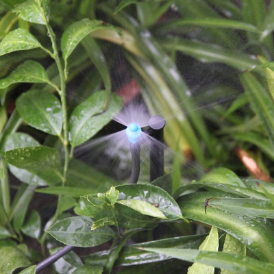 Imágenes de riego simple de salida atomización de micro-agua Agricultura rociador