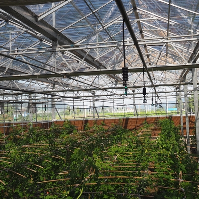 Posición invertida de 360 grados Micro rociador para riego agrícola Muestra de imágenes