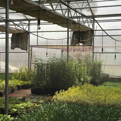Los compradores comerciales obtienen descuento en el rociador de jardín de 360 grados para riego agrícola