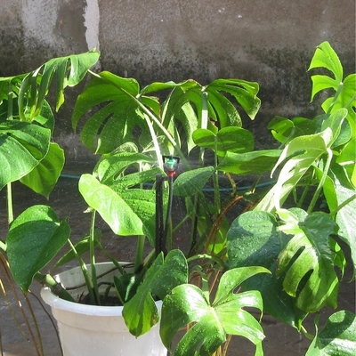 Posición vertical duradera Sistema de riego por rociador de agua agrícola con rociador de plástico