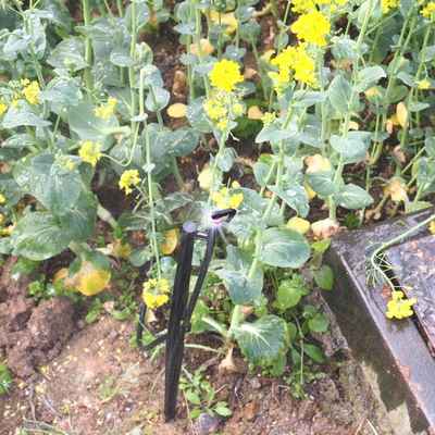 G Tipo 360 grados Agricultura Riego rociadores Rendimiento 1,8-2,6M radio de rociado