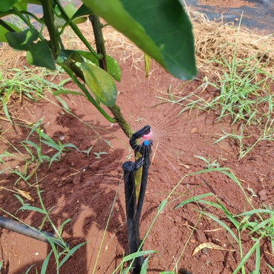 Conectar rápidamente el rociador giratorio de riego tipo G para riego agrícola a 360 grados