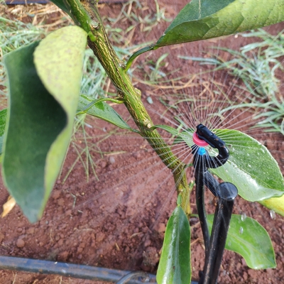 Riego por microarrogante de agua agrícola de 360 grados estilo normal